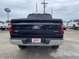 New 2025 Ford F150 XLT w/ Equipment Group 302A MID image 5