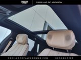 New 2025 Cadillac Lyriq Sport image 5