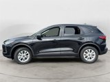 Used 2025 Ford Escape Active w/ Cold Weather Package image 5
