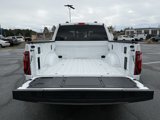 New 2025 Ford F150 XLT w/ Equipment Group 302A MID image 5
