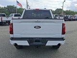 New 2025 Ford F150 XLT w/ Equipment Group 303A High image 5
