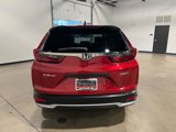 Used 2020 Honda CR-V LX image 4