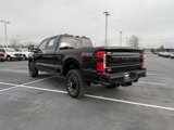 New 2025 Ford F250 Platinum image 5