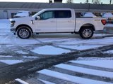 New 2025 Ford F150 XLT w/ Equipment Group 303A High image 4