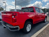 Used 2025 Chevrolet Silverado 1500 LT w/ Protection Package image 2