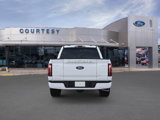 New 2025 Ford F150 Platinum image 5
