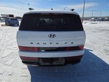 New 2025 Hyundai Santa Fe Calligraphy image 3