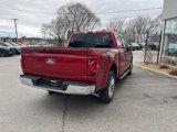 New 2025 Ford F150 XLT w/ Equipment Group 303A High image 5