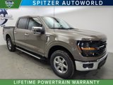New 2025 Ford F150 XLT w/ Equipment Group 302A MID image 1