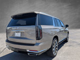 New 2025 Cadillac Escalade ESV Premium Luxury Platinum w/ LPO, Floor Liner Package image 4