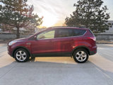 Used 2014 Ford Escape SE image 2