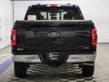 Certified 2023 Ford F150 XLT w/ Equipment Group 302A High image 6