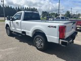 New 2025 Ford F250 XLT image 5