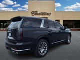 Used 2025 Cadillac Escalade Premium Luxury Platinum w/ LPO, Radiant Package image 3