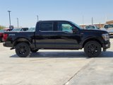 New 2025 Ford F150 Platinum image 5