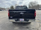 New 2025 Ford F150 XL w/ Equipment Group 103A High image 5