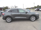 Used 2020 Ford Escape SE image 5