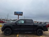 New 2025 Ford F150 Platinum w/ Equipment Group 702A High image 2