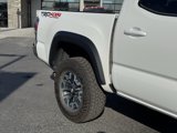 Used 2023 Toyota Tacoma TRD Off-Road image 6