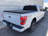 Used 2023 Ford F150 XLT w/ Equipment Group 302A High image 3