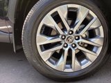 Certified 2024 Toyota RAV4 Limited image 5