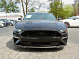 Used 2023 Ford Mustang GT Premium w/ Equipment Group 401A image 4