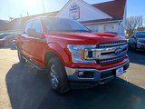 Used 2020 Ford F150 XLT w/ Equipment Group 302A Luxury image 3