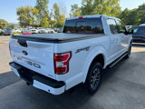 Used 2019 Ford F150 XLT w/ Equipment Group 302A Luxury image 4