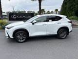 New 2026 Lexus NX 350 AWD w/ Premium Package image 2