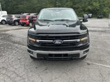 New 2024 Ford F150 XLT w/ Equipment Group 302A MID image 2