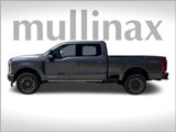 New 2025 Ford F250 Platinum image 2