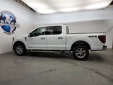 New 2025 Ford F150 XLT w/ Equipment Group 302A MID image 4
