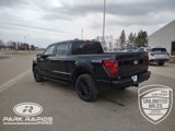 New 2025 Ford F150 XLT w/ Equipment Group 303A High image 3