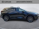 Used 2025 Lexus NX 350h AWD w/ Premium Package image 4