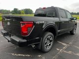 New 2025 Ford F150 STX w/ Equipment Group 200A image 3