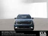 New 2025 Kia Carnival SX image 2