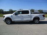 New 2025 Ford F150 XLT image 4