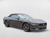 Used 2024 Ford Mustang Premium image 3