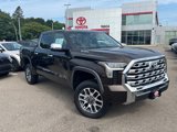 New 2025 Toyota Tundra 1794 Edition image 1