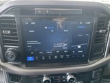 New 2025 Ford F150 XLT w/ Equipment Group 302A MID image 5