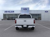New 2025 Ford F150 XLT w/ Equipment Group 303A High image 5