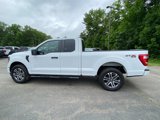 Used 2023 Ford F150 XL w/ STX Appearance Package image 4