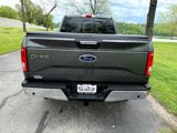 Used 2015 Ford F150 XLT w/ Equipment Group 302A Luxury image 6