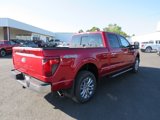 New 2024 Ford F150 XLT w/ Equipment Group 303A High image 6