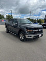 Used 2024 Ford F150 XLT w/ Equipment Group 302A MID image 2