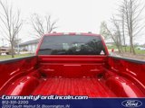 New 2025 Ford F150 STX w/ STX Black Appearance Package image 6