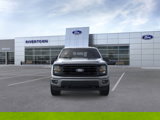 New 2025 Ford F150 XLT w/ Equipment Group 302A MID image 6
