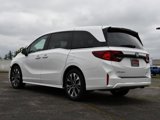 New 2025 Honda Odyssey Elite image 5