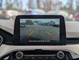 Used 2020 Ford Escape SE image 3