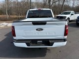 New 2025 Ford F150 STX w/ STX Black Appearance Package image 5